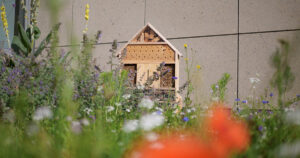 Ein Insektenhotel steht hinter Wildblumen an der Wand